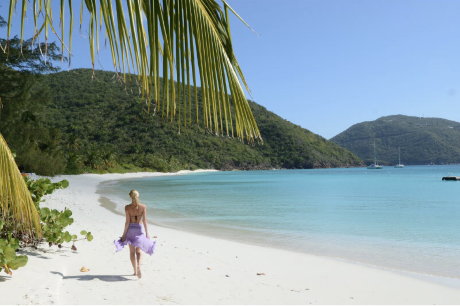 Guana Island